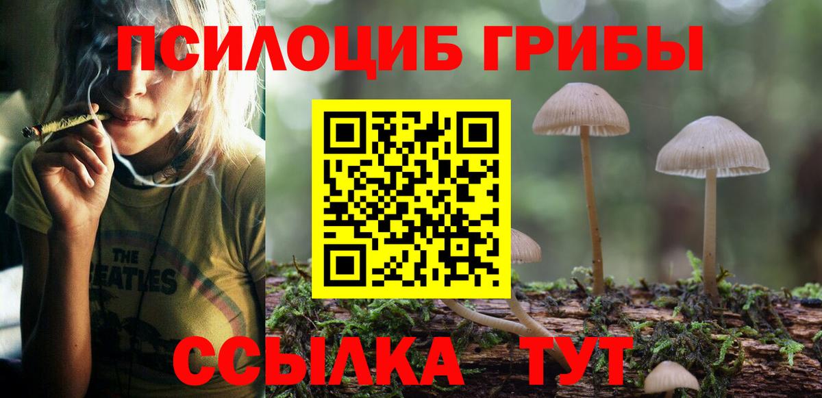 Галлюциногенные грибы Psilocybe  Вход с VPN  Воронеж 